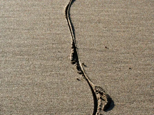 line in the sand